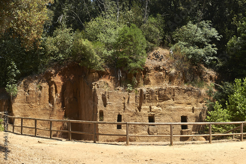 populonia photo