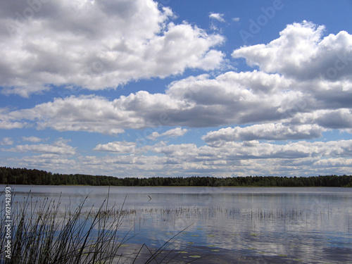 Forest lake