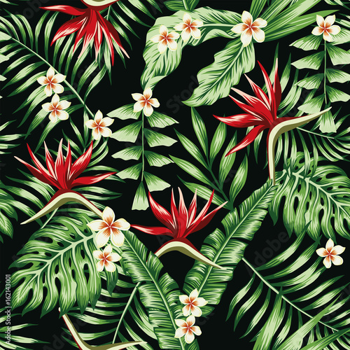 Tropical plants and flowers seamless black background