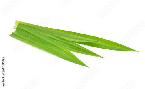Pandan leaves isolated on white background