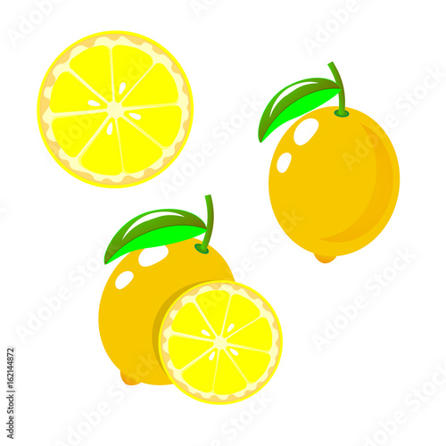 Vector lemon. Set fresh lemon fruits, collection of vector illustrations photo