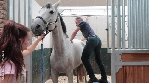 White horse with back pain examination and treatment by physiotherapist by horse physician veterinarian 9