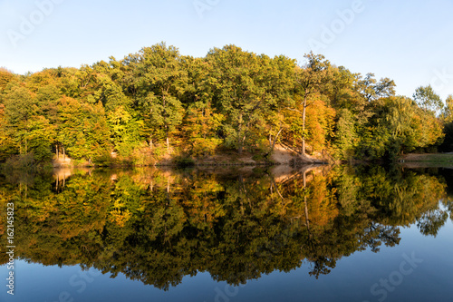 Autumn trees are reflected in the lake