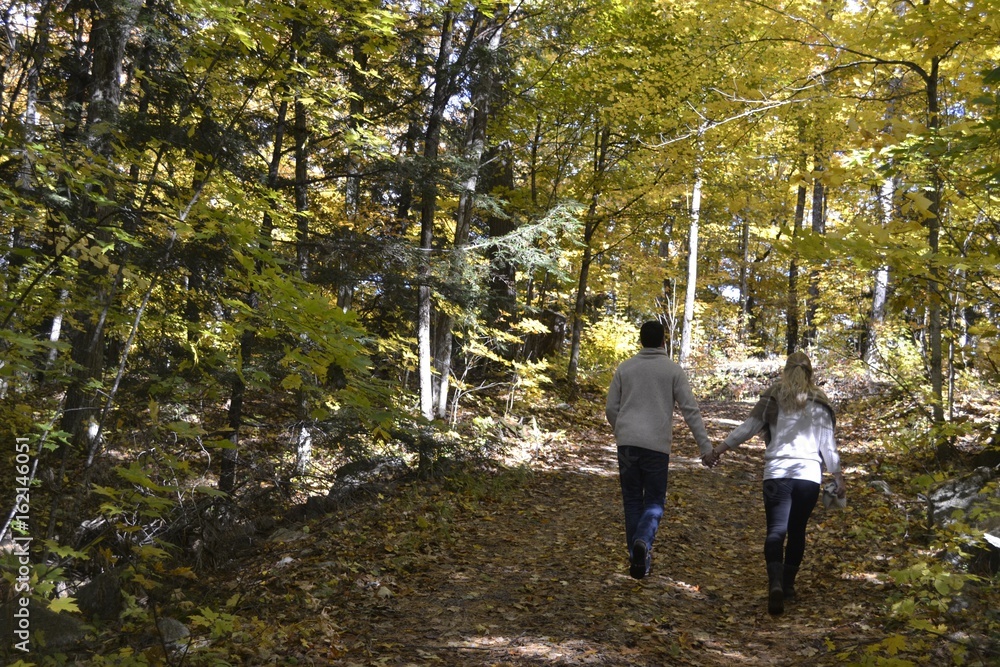 Fototapeta premium Muskoka