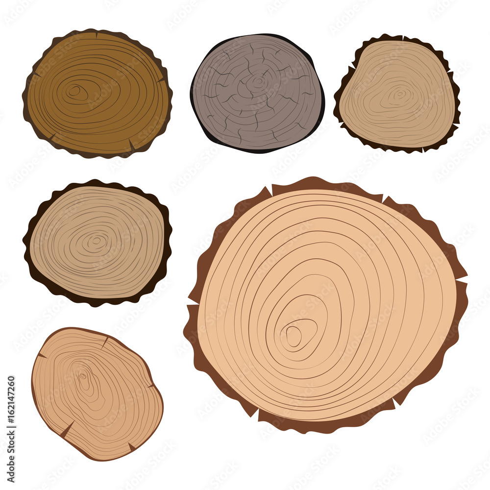 Wood slice texture tree circle cut raw material set detail plant years history textured rough forest vector illustration. Wood slice texture tree circle cut raw material set detail plant years history textured rough forest vector illustration.