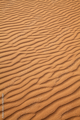 Red sand desert