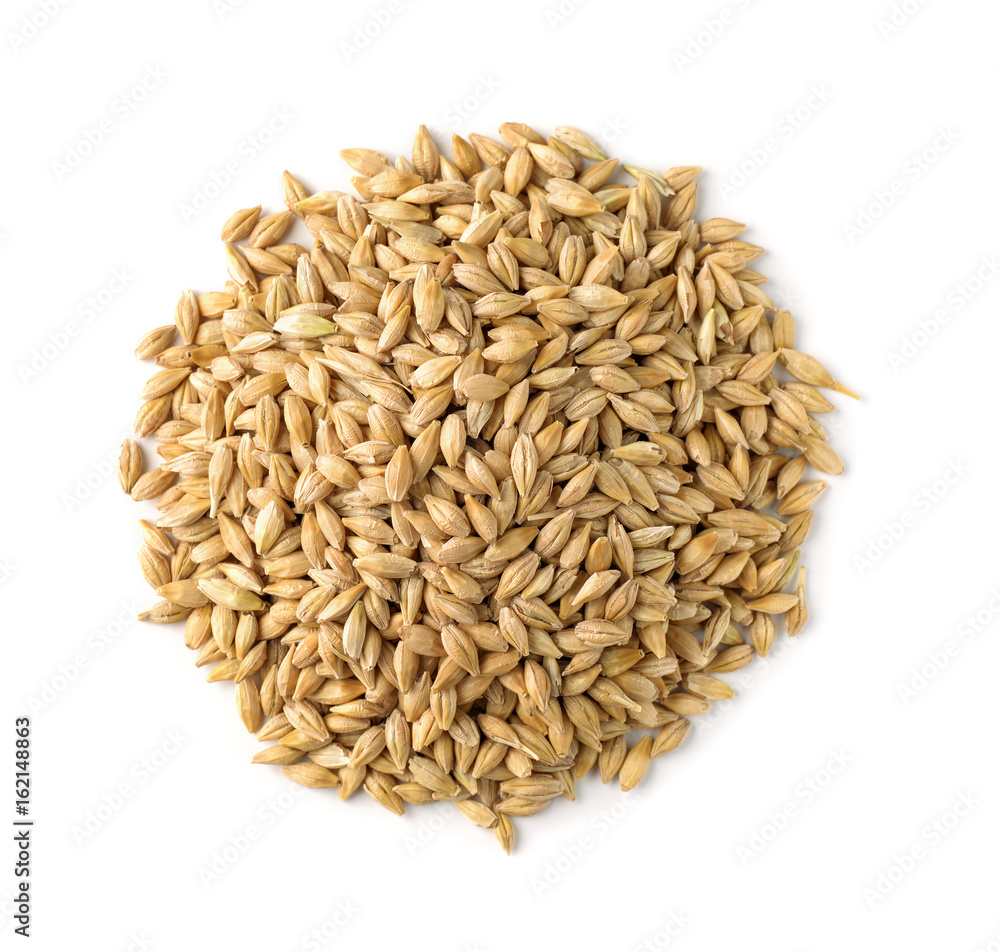 Top view of barley grains