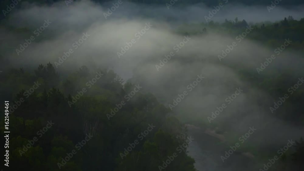 Singing birds at dawn. Mountain landscape and pine forest. Singing birds at dawn. Mountain landscape and pine forest.
