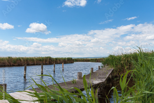 Landing stage or jetty covered by reed with a beautiful blue sky.
