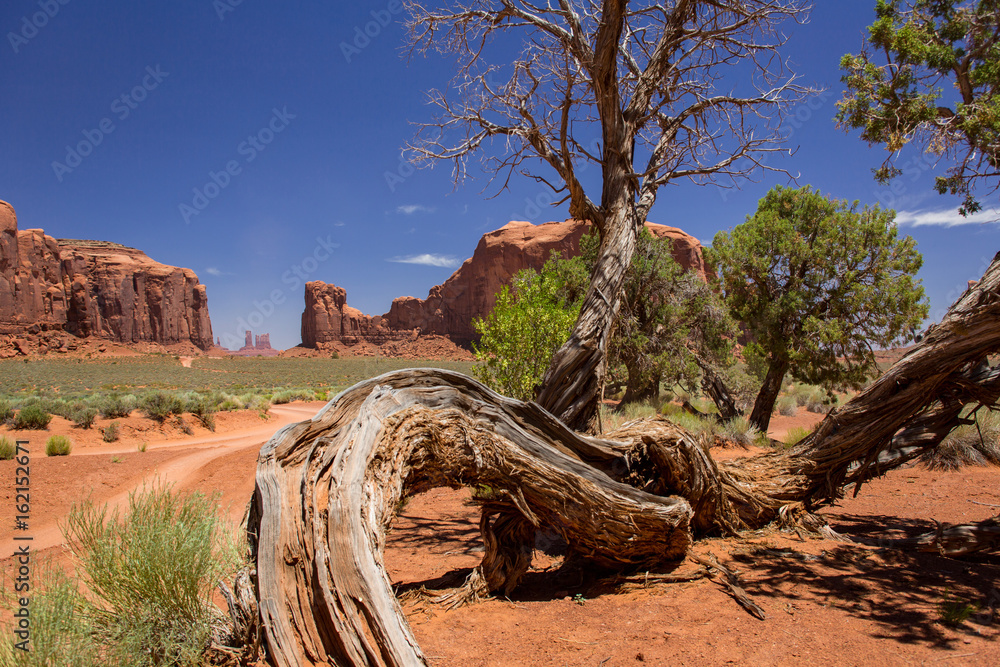 Obraz premium Monument Valley