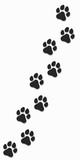 Traces of a dog in black on a white background. Soft shadow. Vector illustration