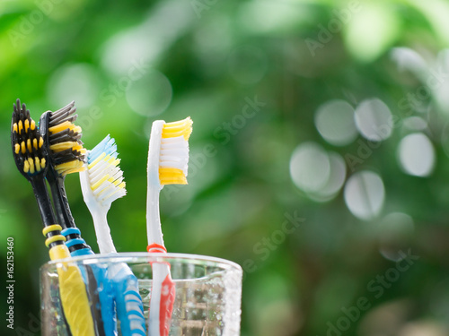 Group family Toothbrushes in glass on blurred green background