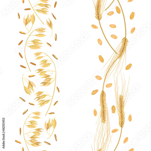 Stripes of Wheat and oat ears with grains seamless pattern. Golden spikes. Sheaf
