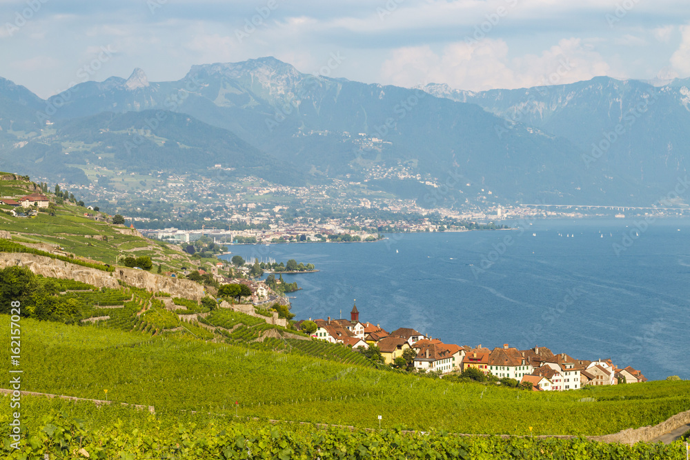 Fototapeta premium Blick auf Rivaz und Lac Léman