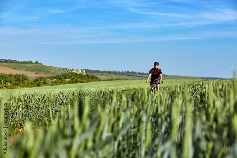 Fototapeta premium Attractive cyclist rides on the road in a field on a bright sunny day against blue sky.