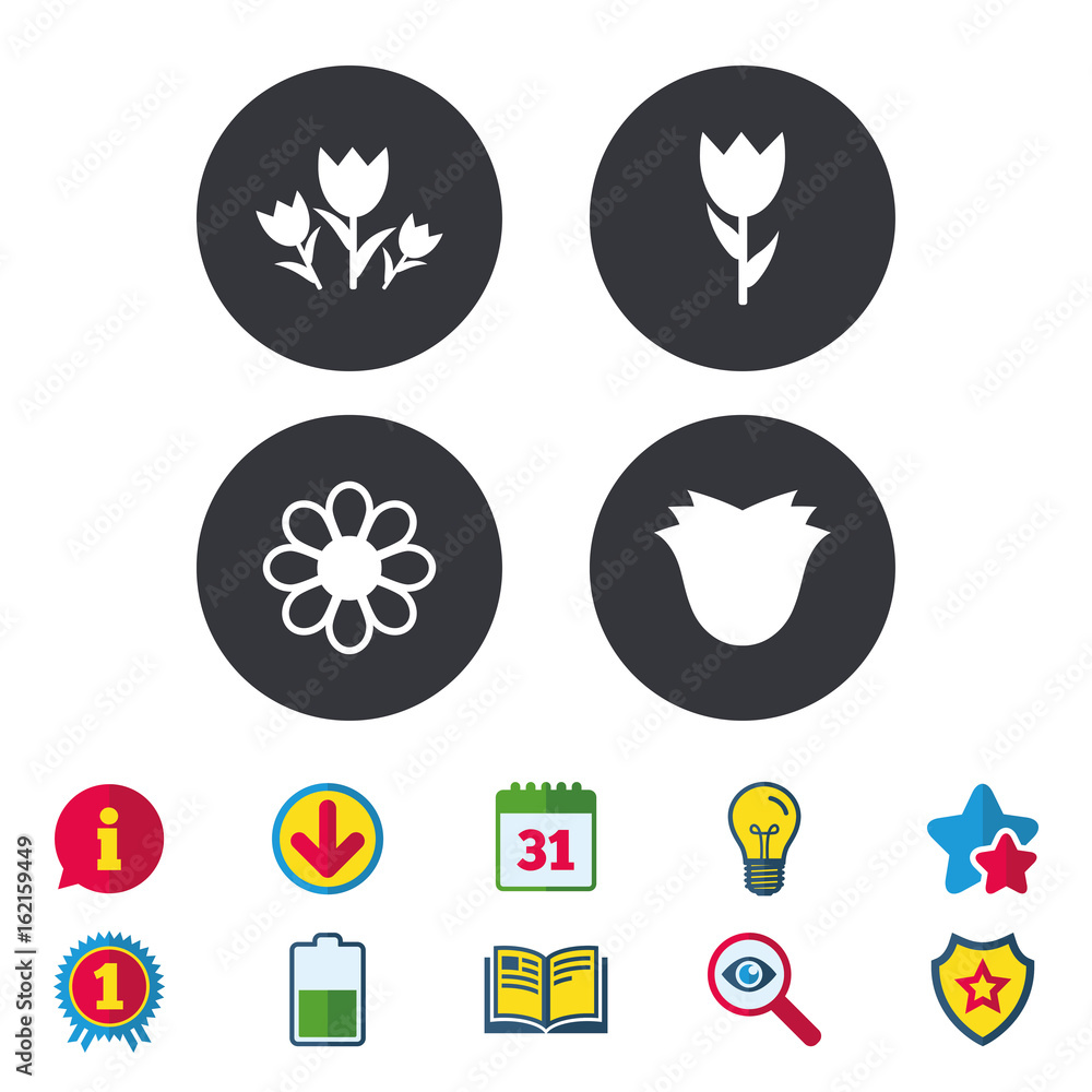 Flowers icons. Bouquet of roses symbol. Flower with petals and leaves. Calendar, Information and Download signs. Stars, Award and Book icons. Light bulb, Shield and Search. Vector