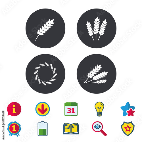 Agricultural icons. Gluten free or No gluten signs. Wreath of Wheat corn symbol. Calendar  Information and Download signs. Stars  Award and Book icons. Light bulb  Shield and Search. Vector