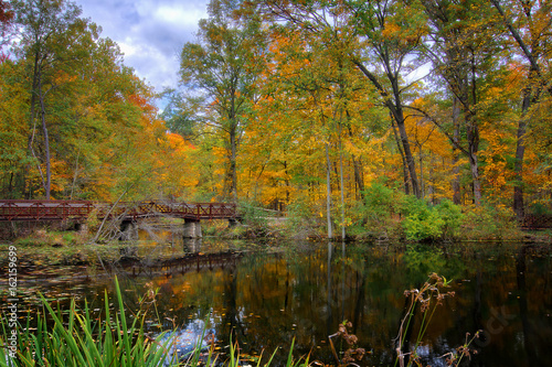 Autumn Lake © Michael Shake