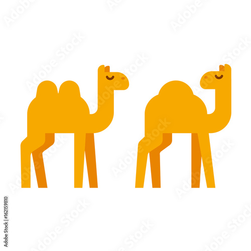 Cartoon camel illustration