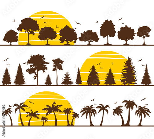 Silhouette Bäume