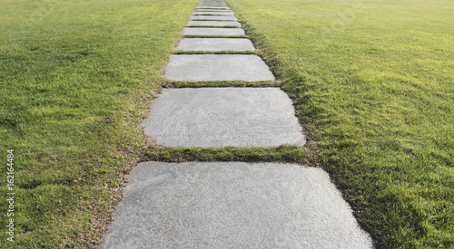 Stone way in the meadow