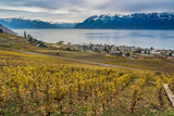 Lavaux vineyard terraces, UNESCO World Heritage near Lake Geneva, around Lausanne, Canton of Vaud. Switzerland. Village of Grandvaux.