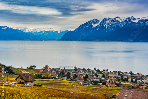 Lavaux vineyard terraces, UNESCO World Heritage near Lake Geneva, around Lausanne, Canton of Vaud. Switzerland. Village of Grandvaux. photo