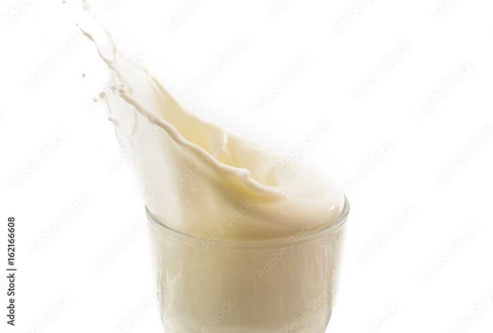 Splash of milk in the glass on white background Splash of milk in the glass on white background