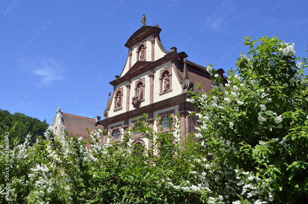 Frühling beim Kloster Bronnbach