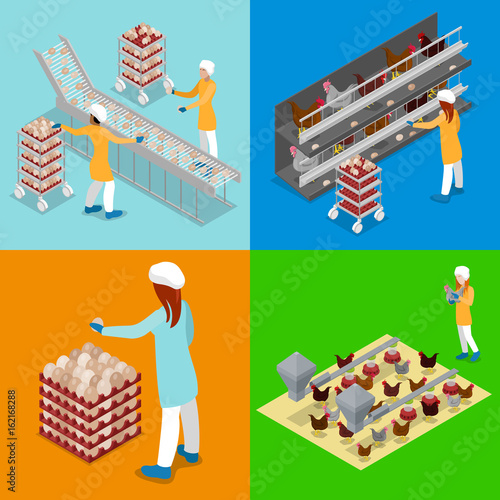 Isometric Chicken Farm Poultry. Organic Eggs Production Line. Work on Birds Plant. Vector flat 3d illustration