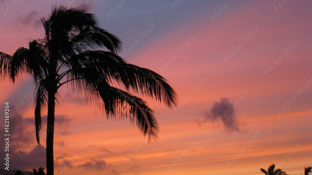 Hawai Sunset 