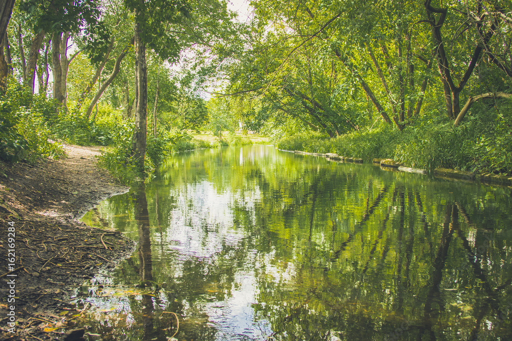 The river flows next to graffiti in thickets The river flows next to graffiti in thickets