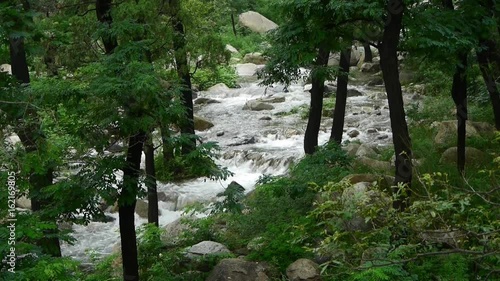 Mountain creek stream from forests & shrubs. photo