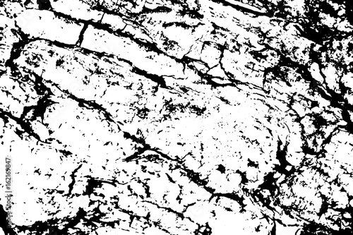Dry wood bark monochrome vector texture. Obsolete texture of timber board.