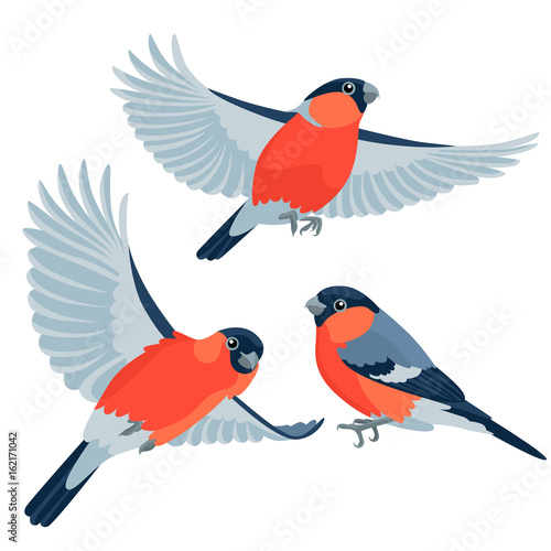 Bullfinches on white background / There are one sitting bullfinch and two flying bullfinches in cartoon style
