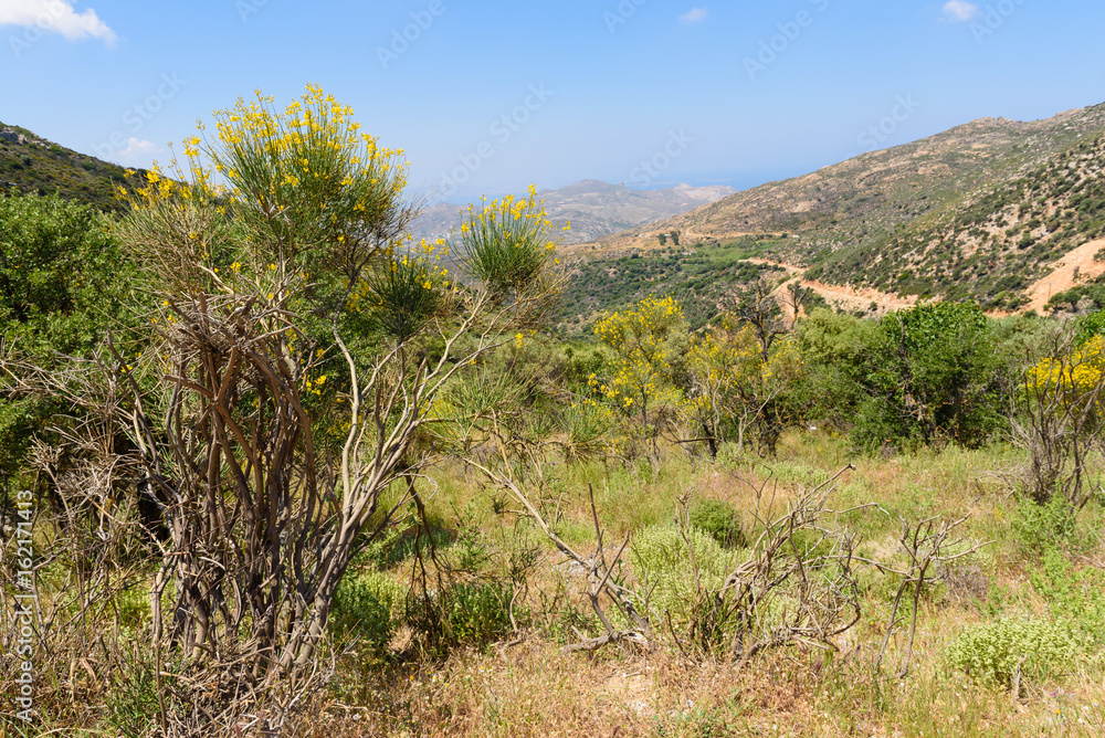 Beautiful mountain landscape on Naxos island. Cyclades, Greece
Beautiful mountain landscape on Naxos island. Cyclades, Greece