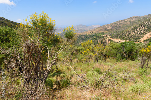 Beautiful mountain landscape on Naxos island. Cyclades  Greece   