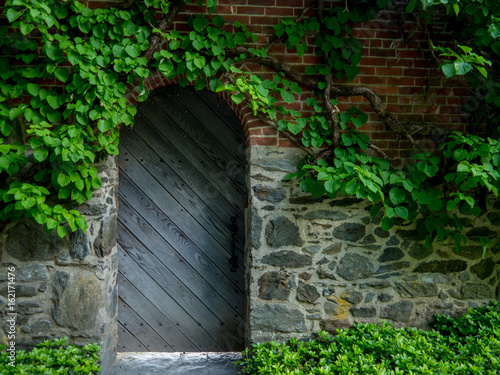 wooden door