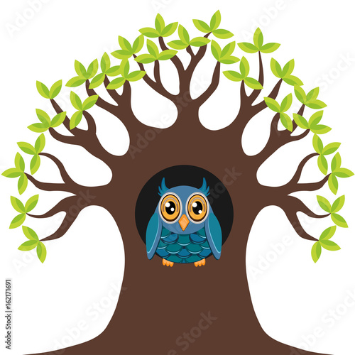 Owl in the tree hollow