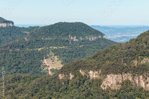 Gondwana rainforests in Lamington National Park  Queensland  Australia