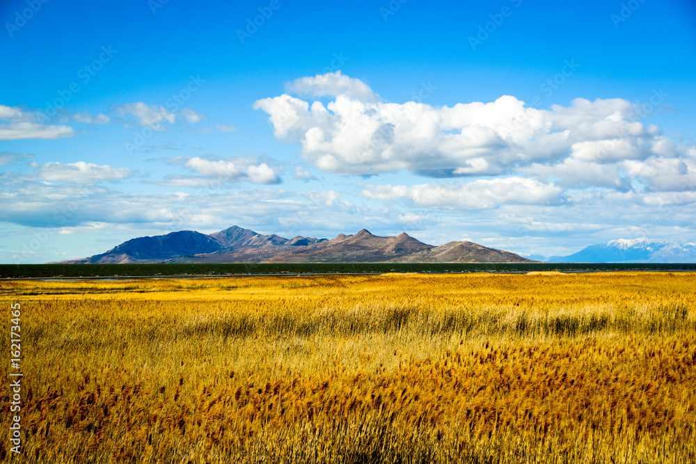 An ocean of wheat, a mountain island.