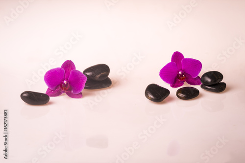 Flower arrangement - orchises on the bright background