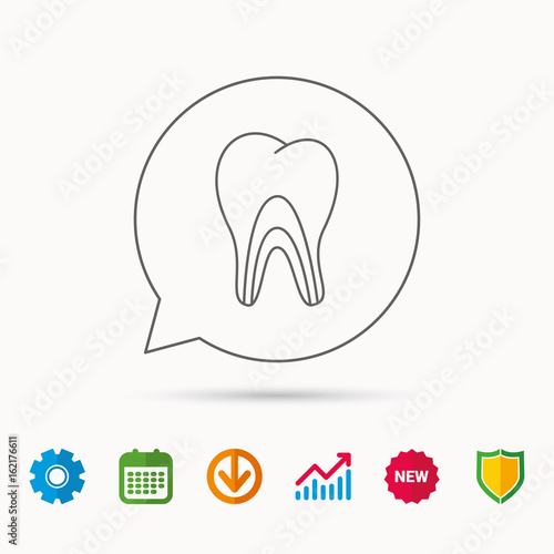 Dentinal tubules icon. Tooth medicine sign. Calendar, Graph chart and Cogwheel signs. Download and Shield web icons. Vector