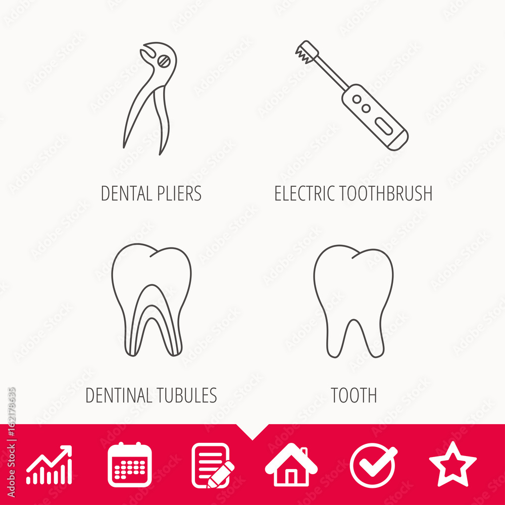 Tooth, electric toothbrush and pliers icons. Dentinal tubules linear sign. Edit document, Calendar and Graph chart signs. Star, Check and House web icons. Vector Tooth, electric toothbrush and pliers icons. Dentinal tubules linear sign. Edit document, Calendar and Graph chart signs. Star, Check and House web icons. Vector