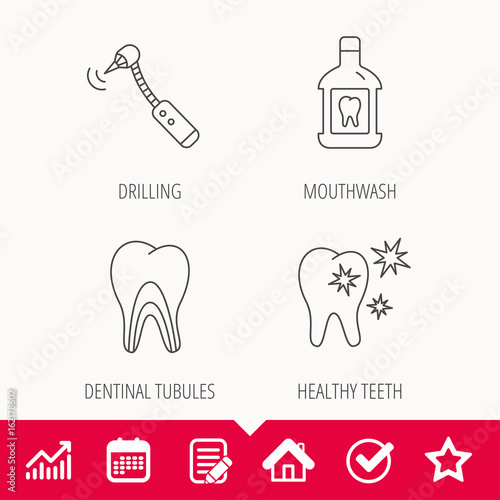 Tooth, mouthwash and dentinal tubules icons. Healthy teeth, dentinal tubules linear sign. Edit document, Calendar and Graph chart signs. Star, Check and House web icons. Vector