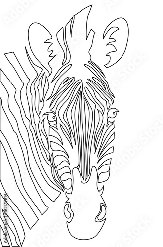 Zebra head. Coloring book vector illustration