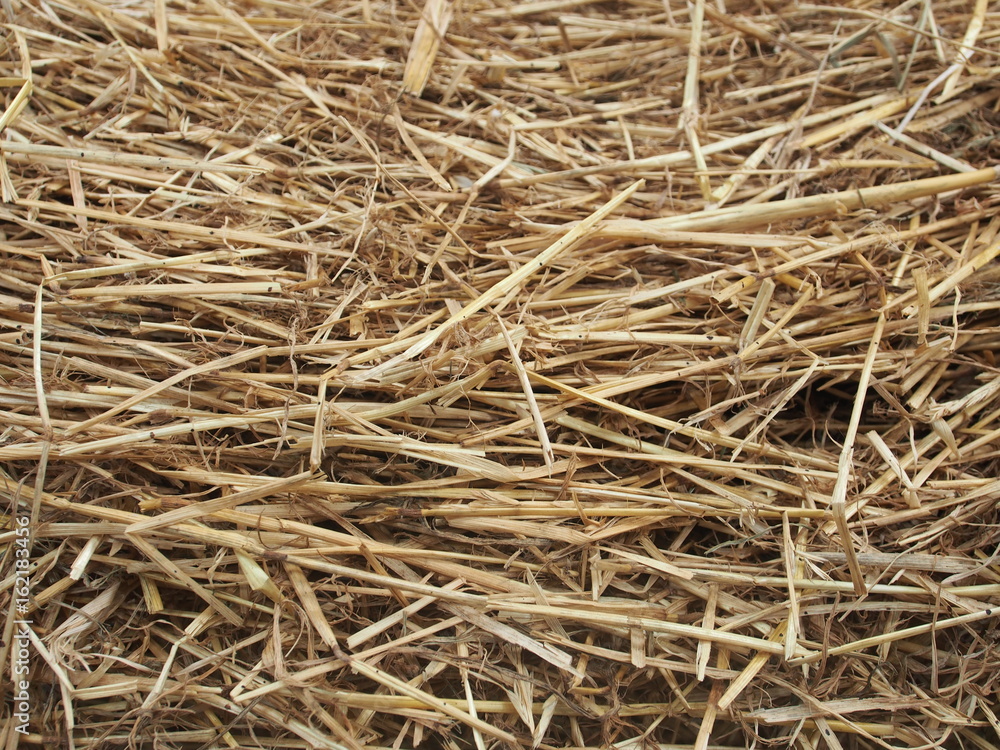 Hintergrund: Stroh Hintergrund: Stroh