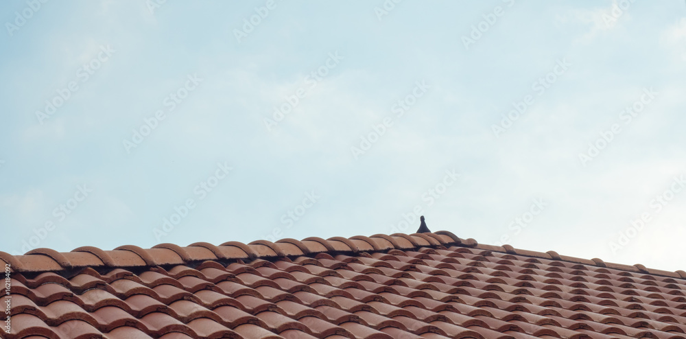 Bird on roof background sky