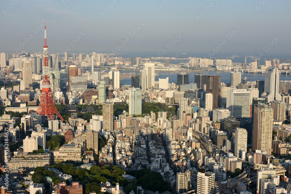 日本の東京都市風景（東京湾や港区方面を望む）
