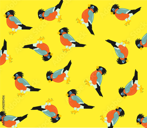 Pattern from birds